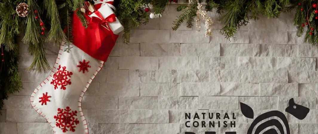 Red and white snowflake Christmas stocking with green trim for vegetarian dog treats