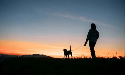 Black dog leash with silver hook from Natural Cornish Pet