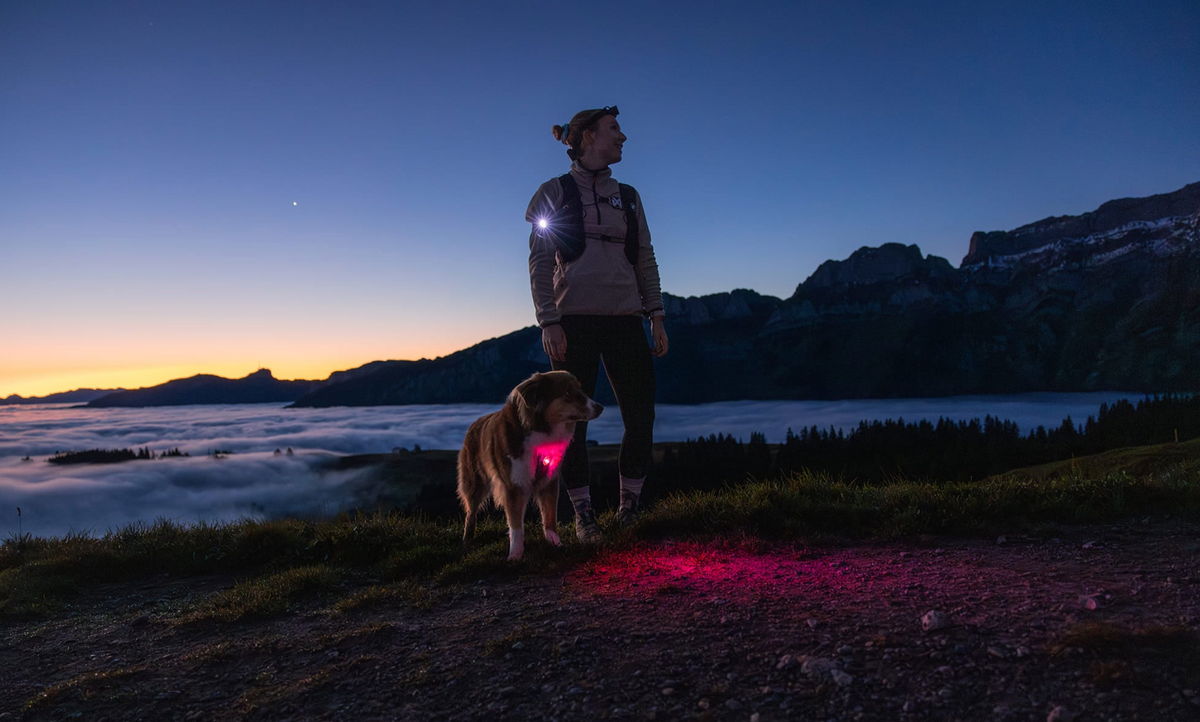 Orbiloc Dog Dual Safety Lights