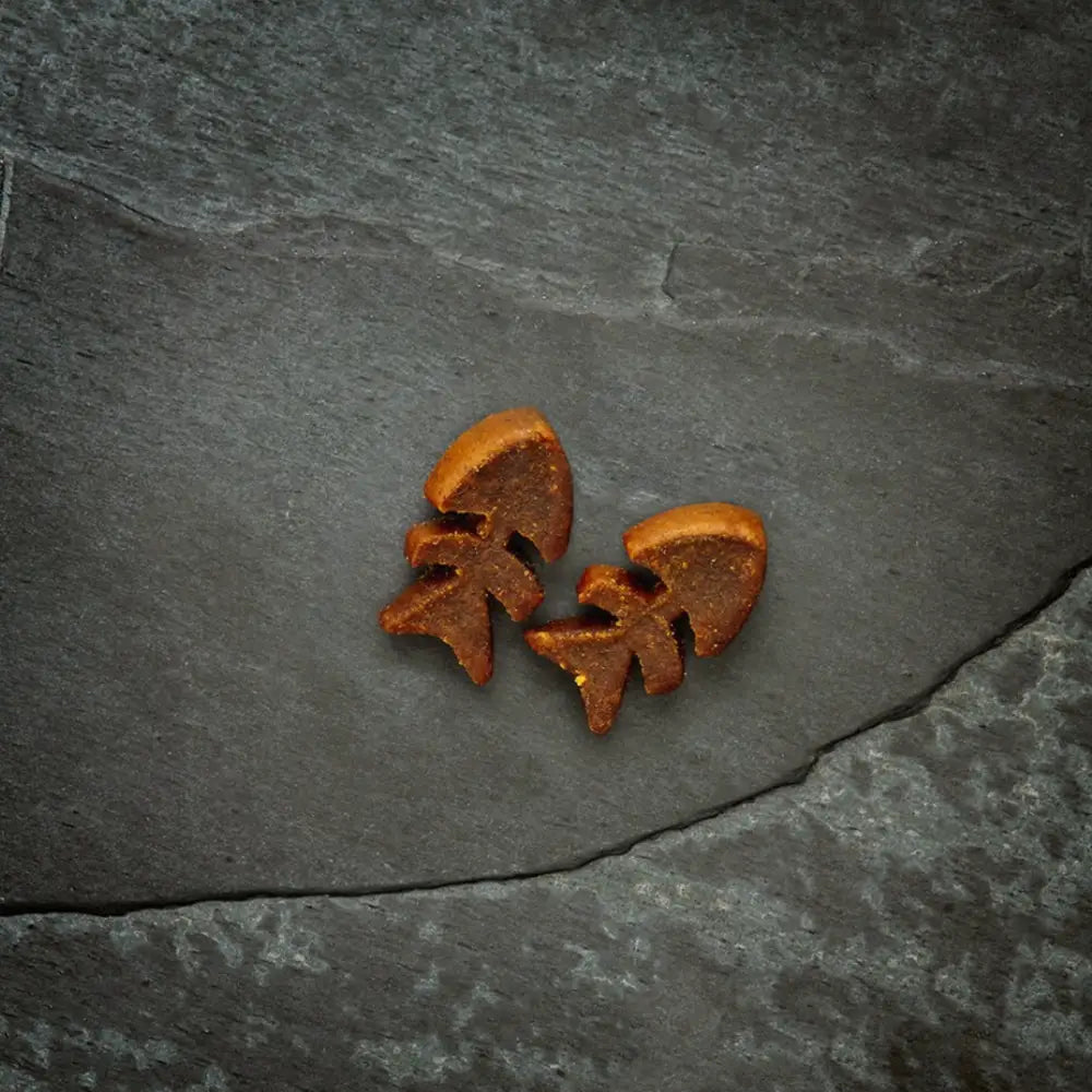 Golden star-shaped Canagan cat treats earrings with textured copper surface