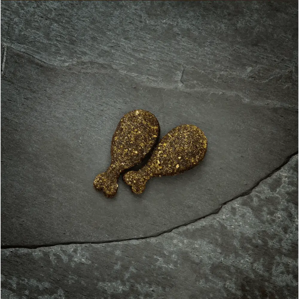 Golden chicken-shaped Canagan Dog Treats on slate surface for healthy dog treats