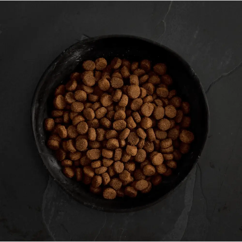 Brown Canagan Dry Dog Food served in a black bowl for healthy dry dog nutrition