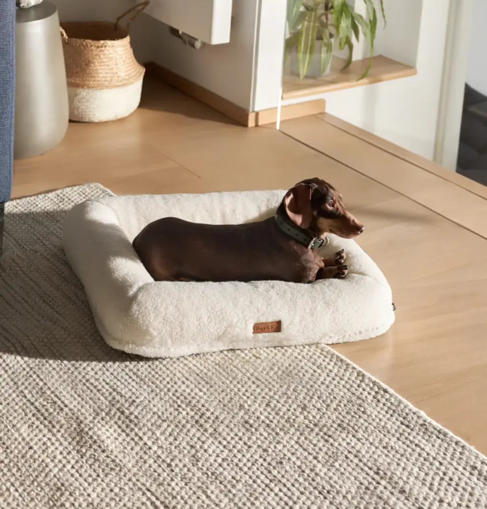 Dog Beds & Bowls