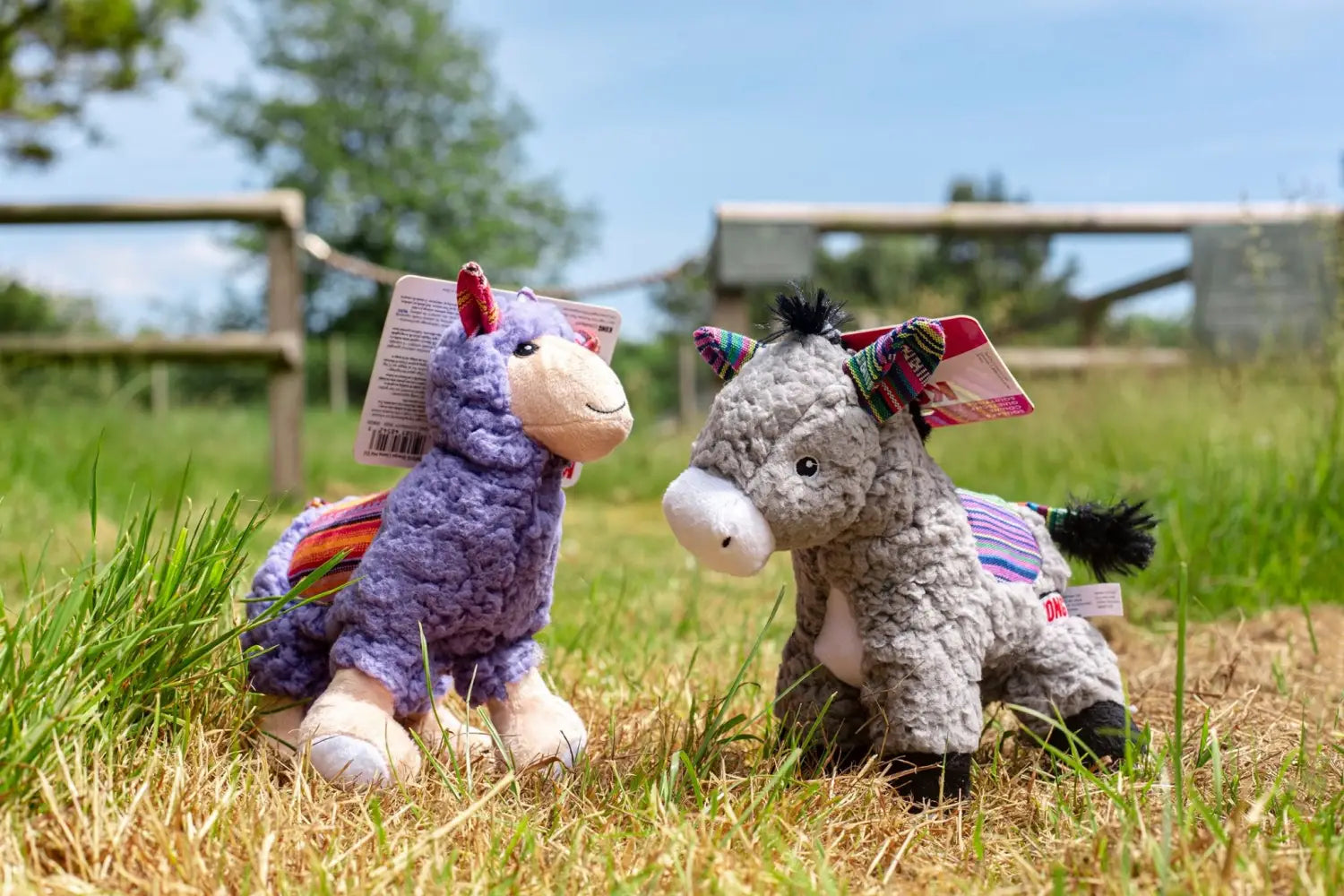 Dog Toys