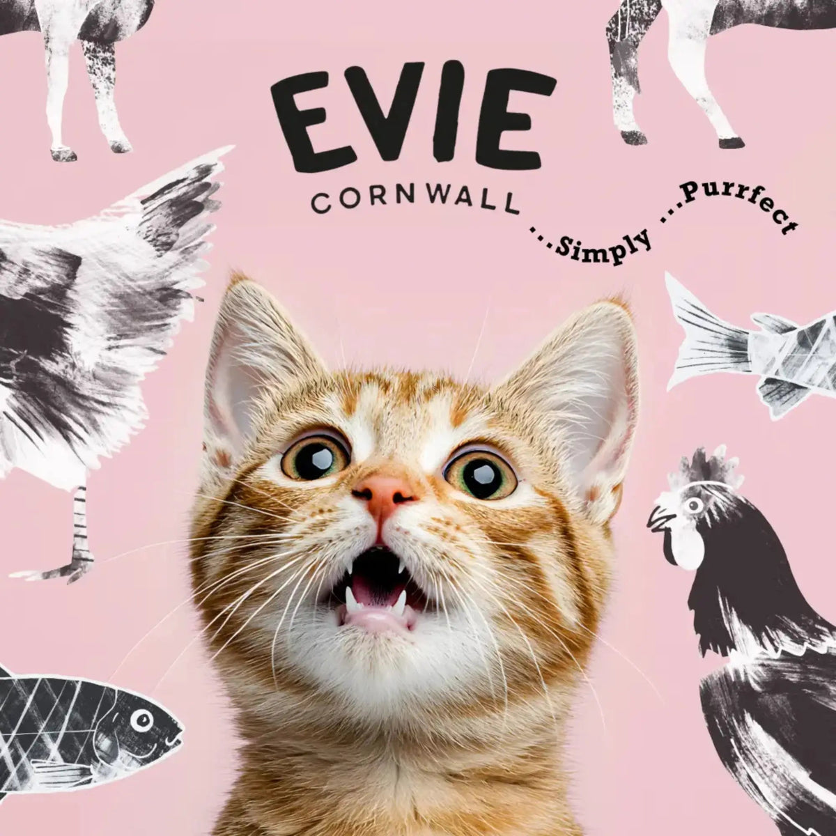 Close-up of ginger tabby cat eating Evie naturally nourishing real meat cat food