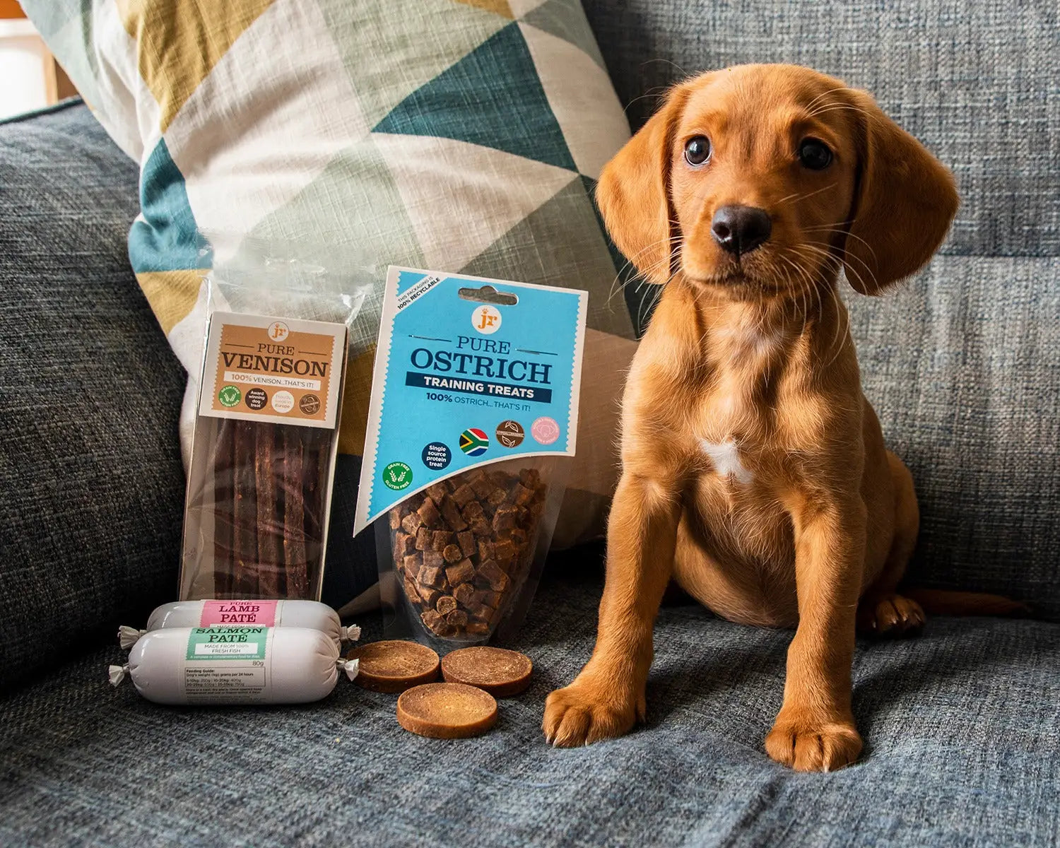 JR Pure Training Treats Mix ostrich snack with brown and white fur on blue couch