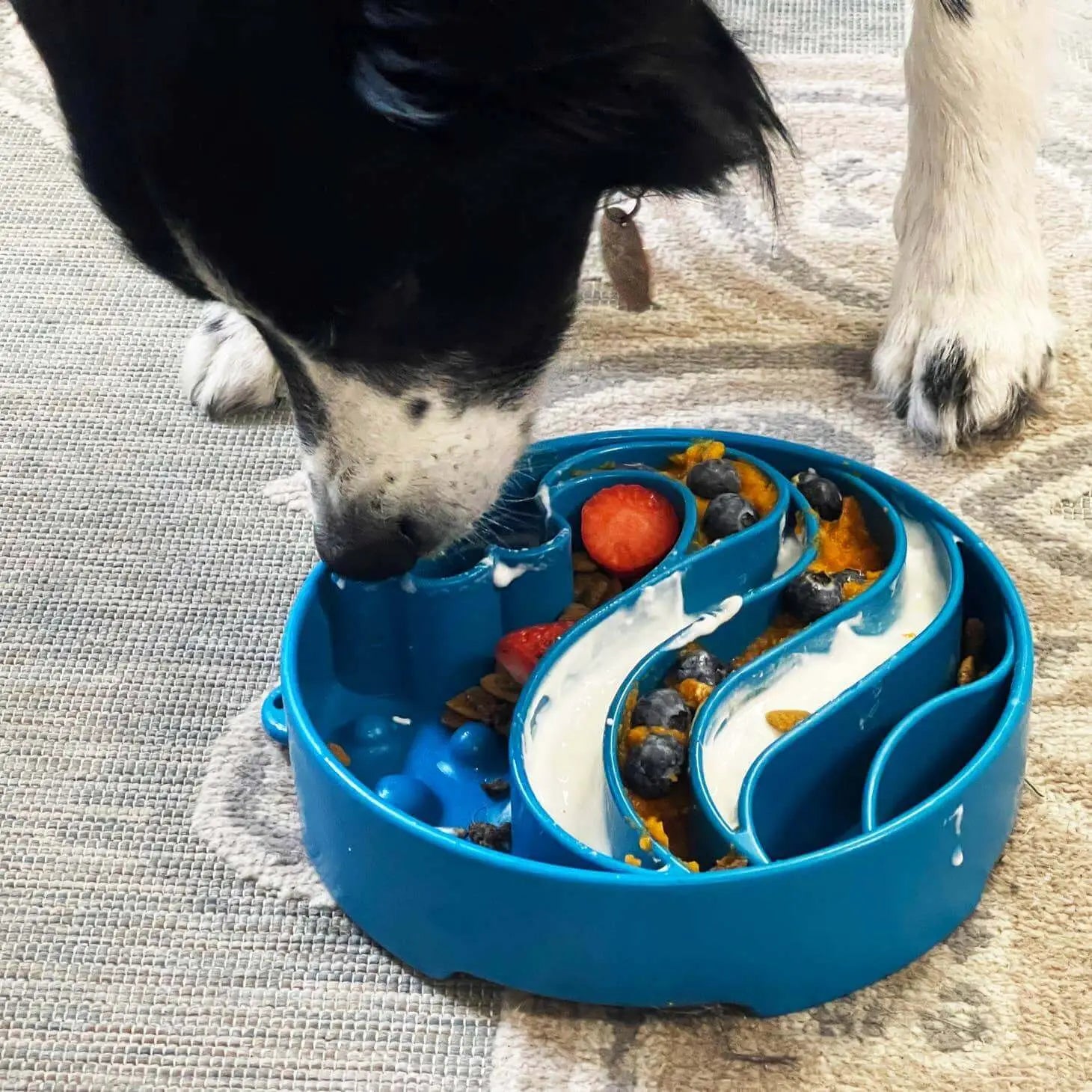 Blue slow feeder dog bowl with maze and treats, no artificial additives
