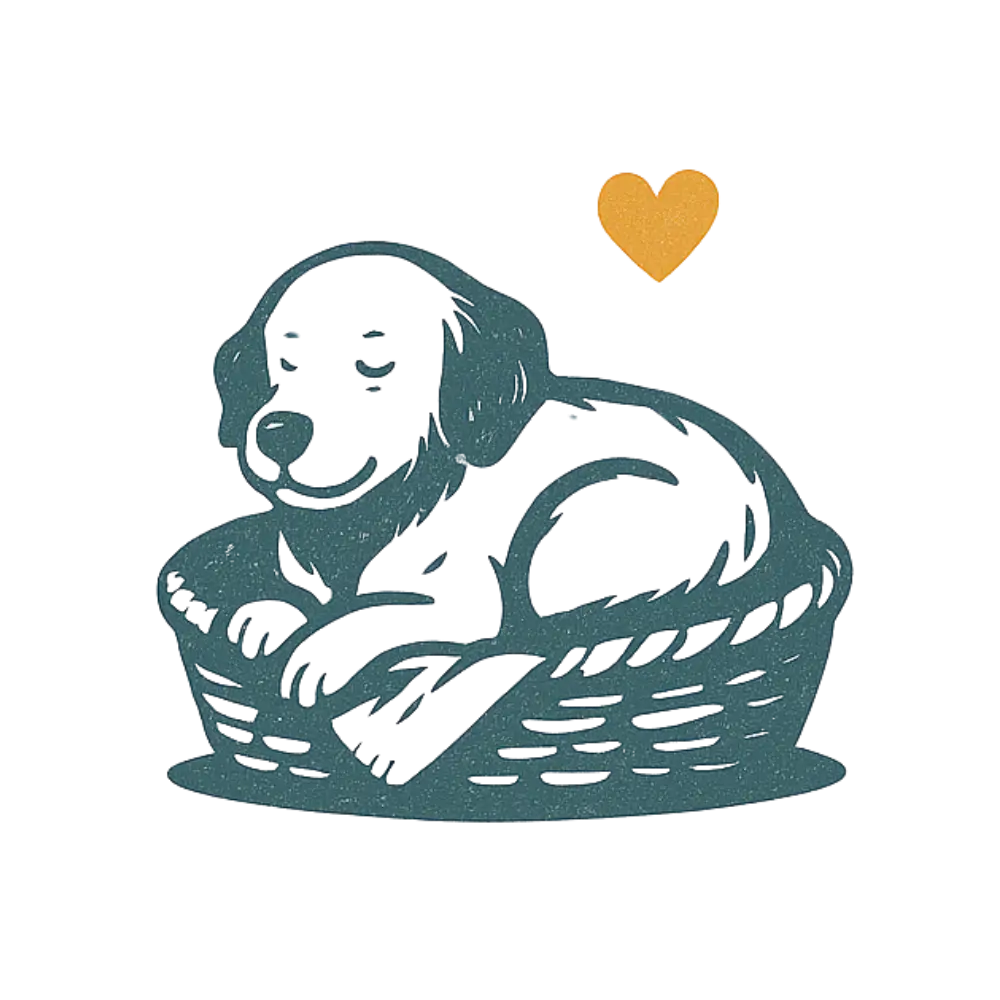 Teal wicker laundry basket with heart accent for natural senior dog care