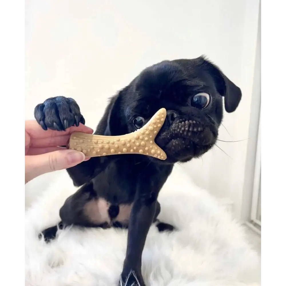 Light brown bone-shaped vegetable chew toy with durable rubber texture.