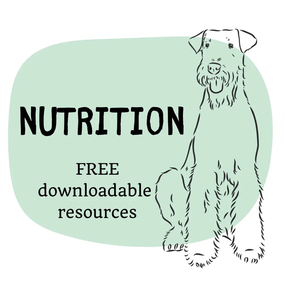 Teddy Talks Nutrition: Dog Illustration with Green Background and White Fur