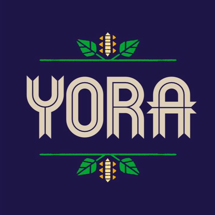 Yora sustainable food coffee beans and leaves on dark blue background