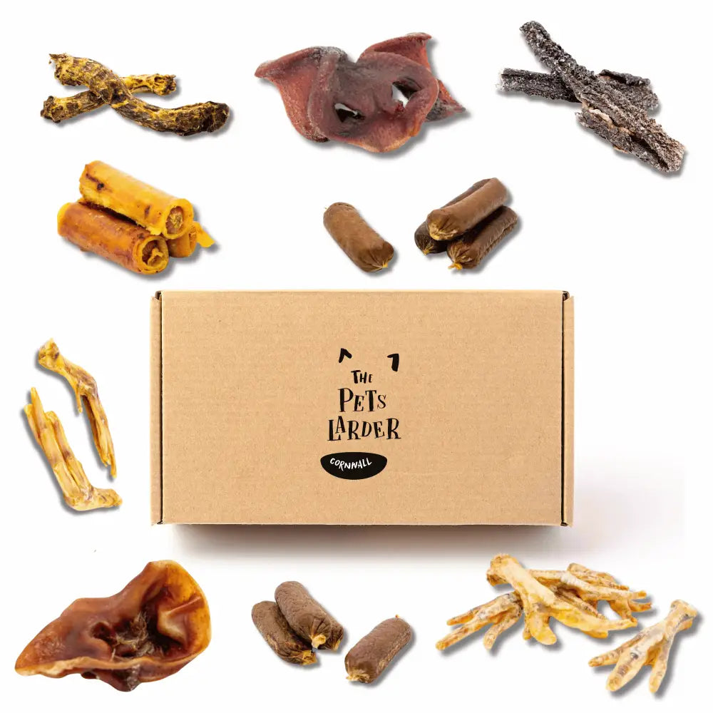 100% Natural Deli Chew Box for Small Dogs with Assorted Chews