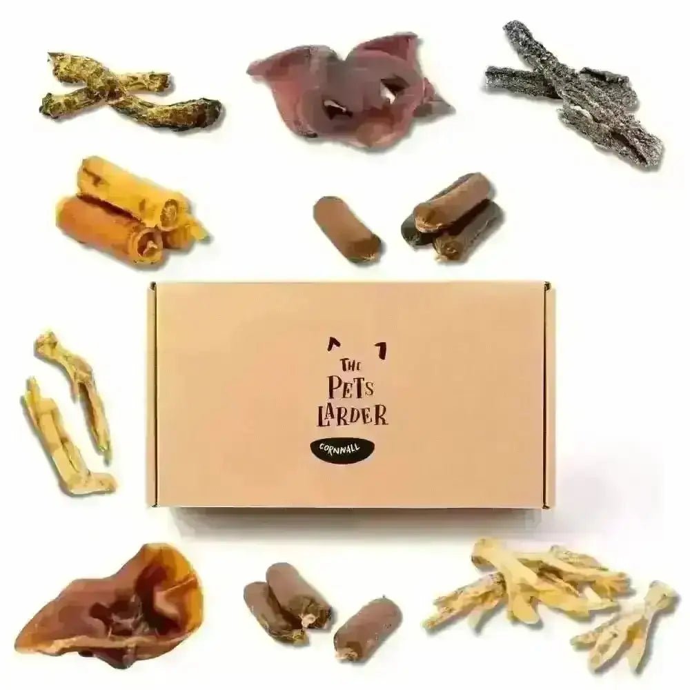 100% Natural Deli Chew Box for Small Dogs with Assorted Chews