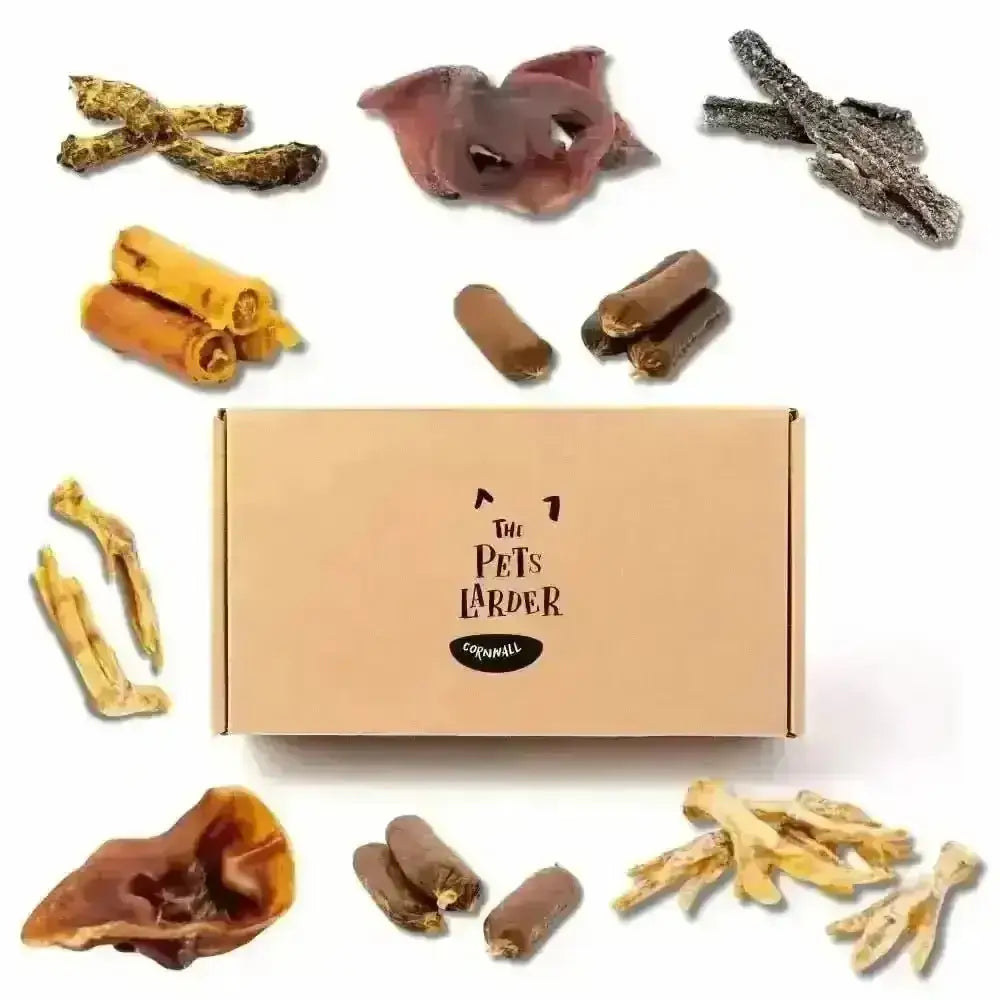 100% Natural Deli Chew Box for Small Dogs with Assorted Chews