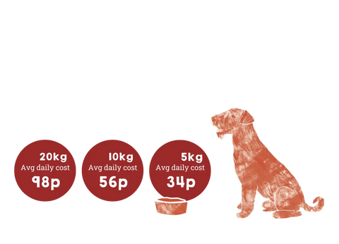 Aflora Grain Free Dog Food: A Fresh Approach to Pet Nutrition