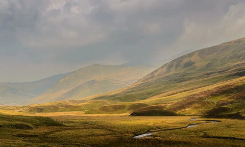 Cairngorms