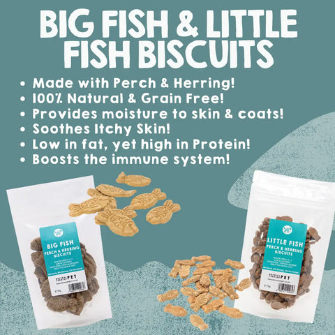 Fish Treats for Dogs