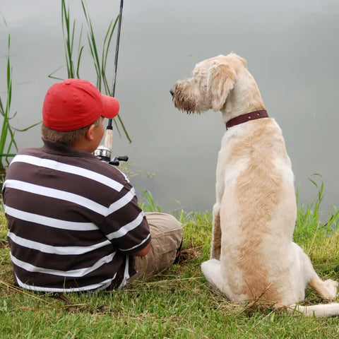 Chien et pêcheur au bord de la rivière