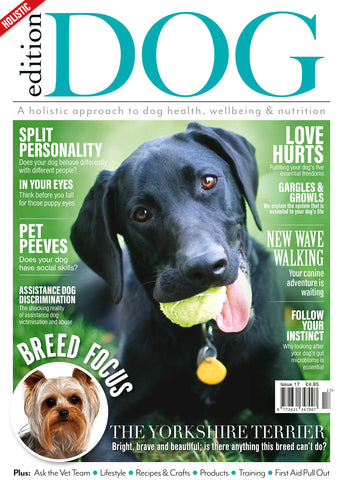 Edition Dog Magazine