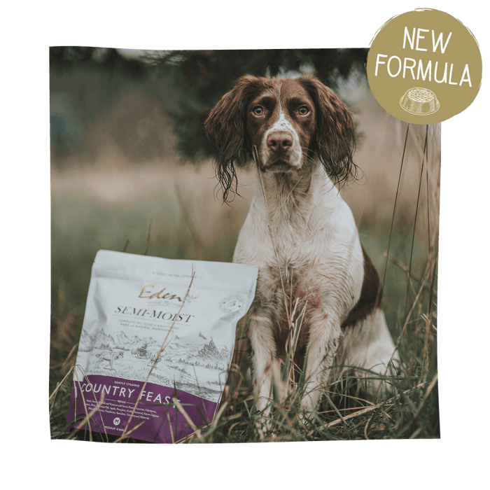 Eden Natural Dog Food Semi-Moist Country Feast