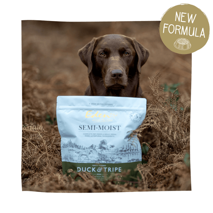 Eden Natural Dog Food Semi-Moist Duck and Tripe