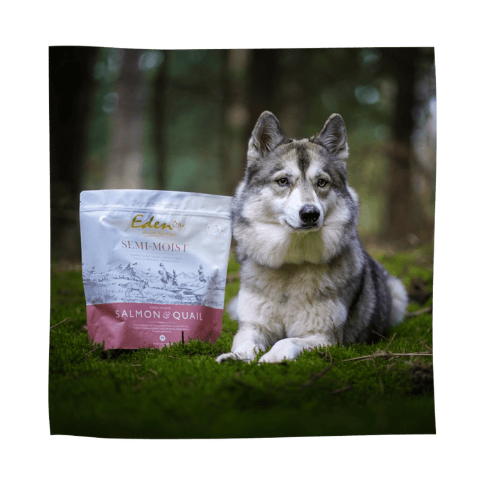 Eden Natural Dog Food Semi-Moist Salmon and Quail