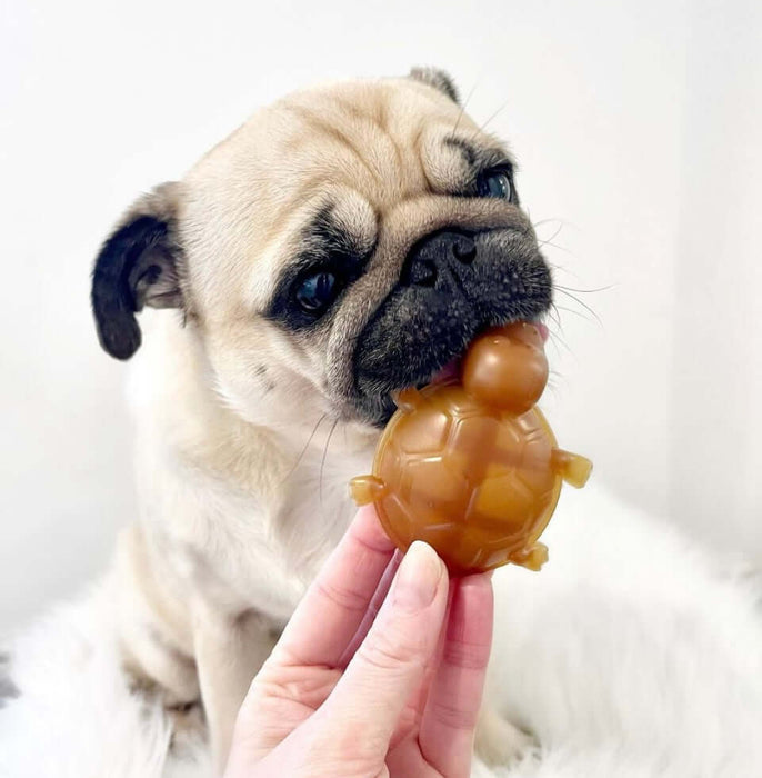 Vegetable & Peanut Butter Turtle Chew For Dogs