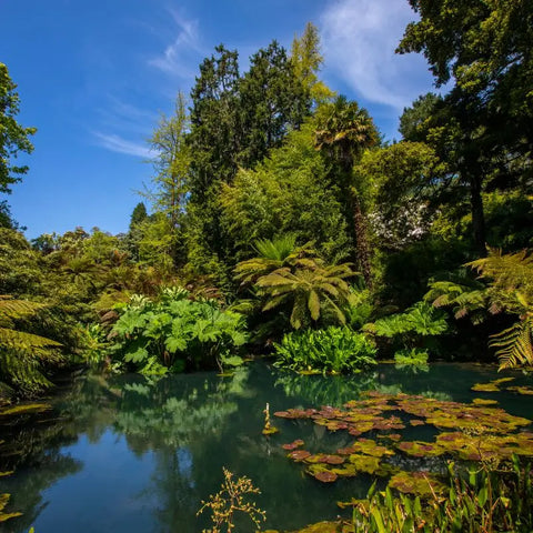 Jardins perdus de Heligan