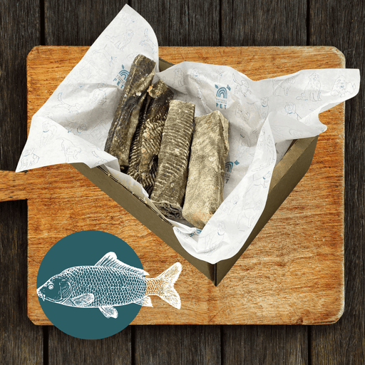 Fish Stick Chew for Dogs | Natural Chew for Dogs