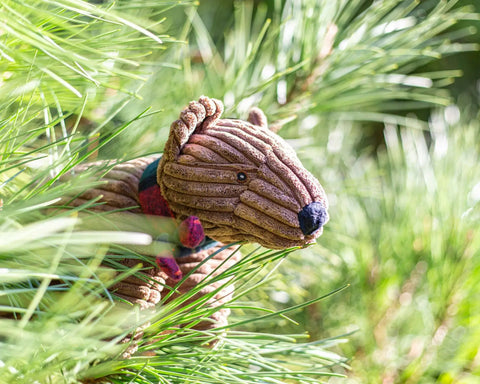 Jouets pour chiens à emporter en camping