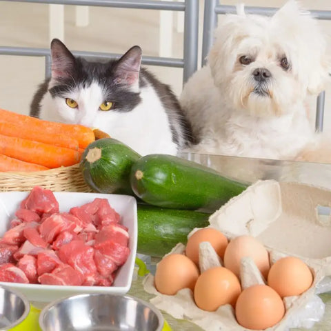 Ingrédients alimentaires entièrement naturels pour chats et chiens