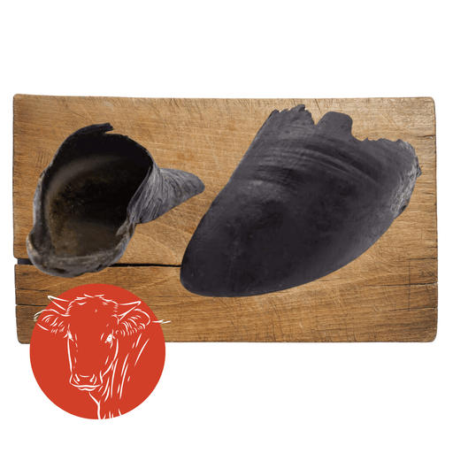 Cow Hooves natural dog chew from The Pets Larder Natural Pet Shop