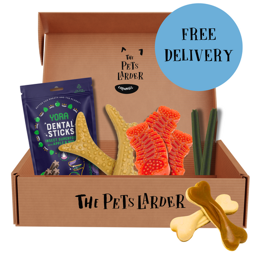 Letter Box Dental Chew Bundle | Natural Chews for Dogs