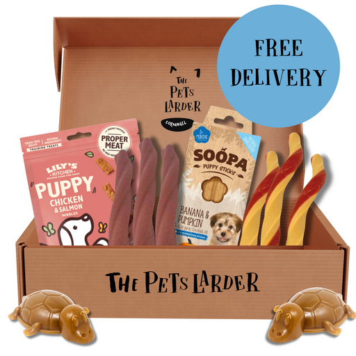 Letter Box Puppy Chew Bundle | Natural Chews for Dogs