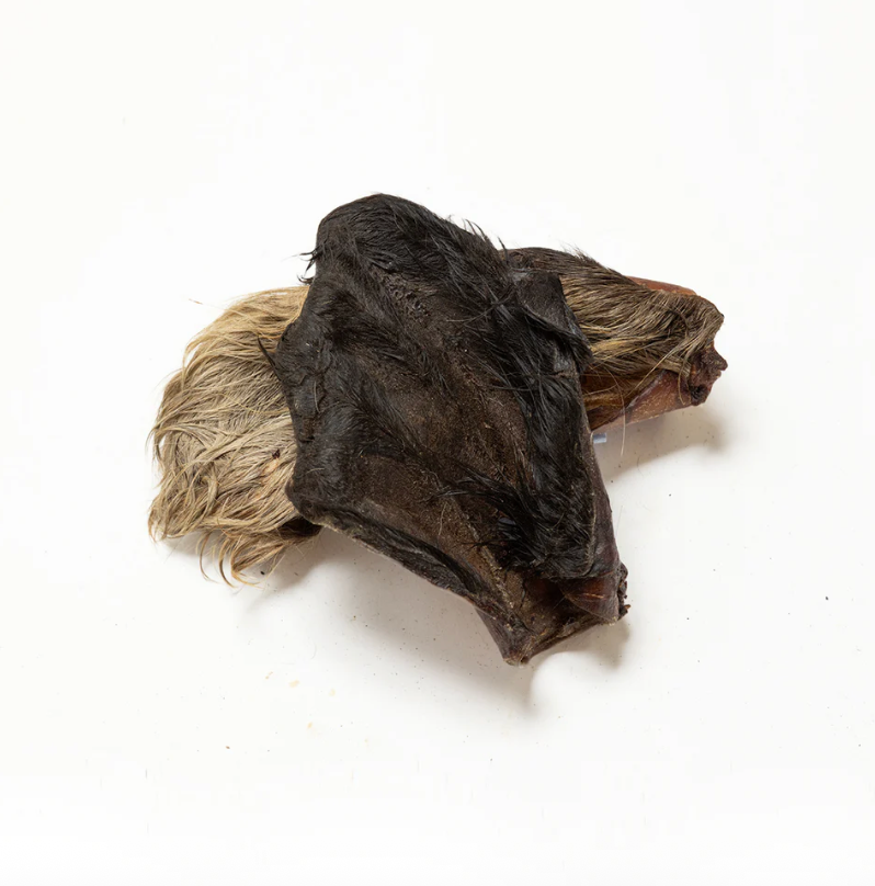 Hairy Cow Ear