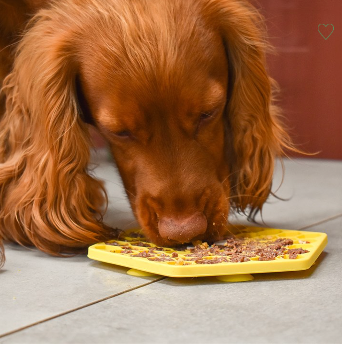 Great&Small Slow Down Bee Hive Silicone Snack Pad