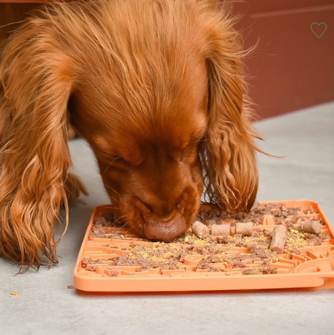 Great&Small Slow Down Arizona Silicone Snack Pad
