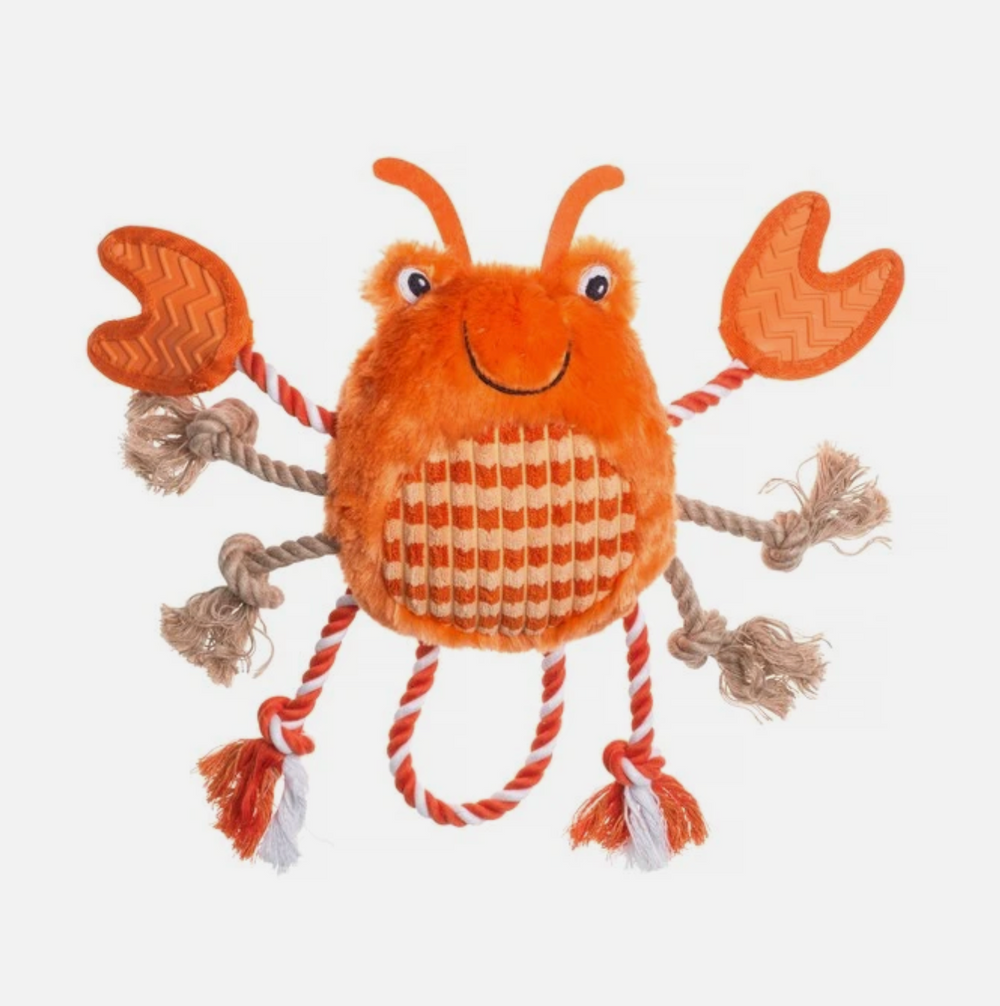 Under the sea Crab