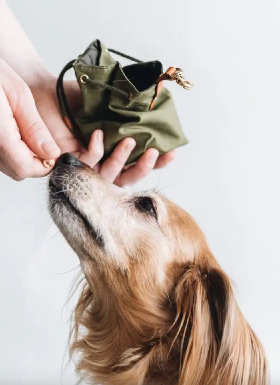 The Pets Larder