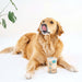Gizzls 100% Natural Dog Treats Skin & Coat 180g - The Pets Larder Natural Pet Shop