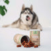 Gizzls 100% Natural Senior Dog Treats 180g - The Pets Larder Natural Pet Shop