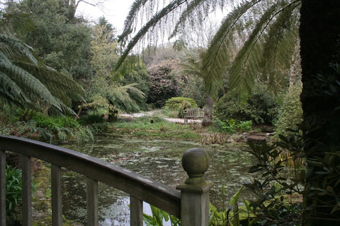 Jardin Trengwainton Cornwall