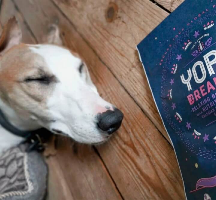 YORA Dog Dreamers 100g - Insect Dog Treats.