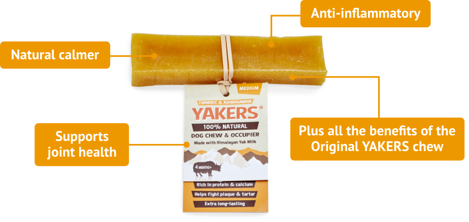 Yakers Turmeric Dog Chew | Natural chews for dogs