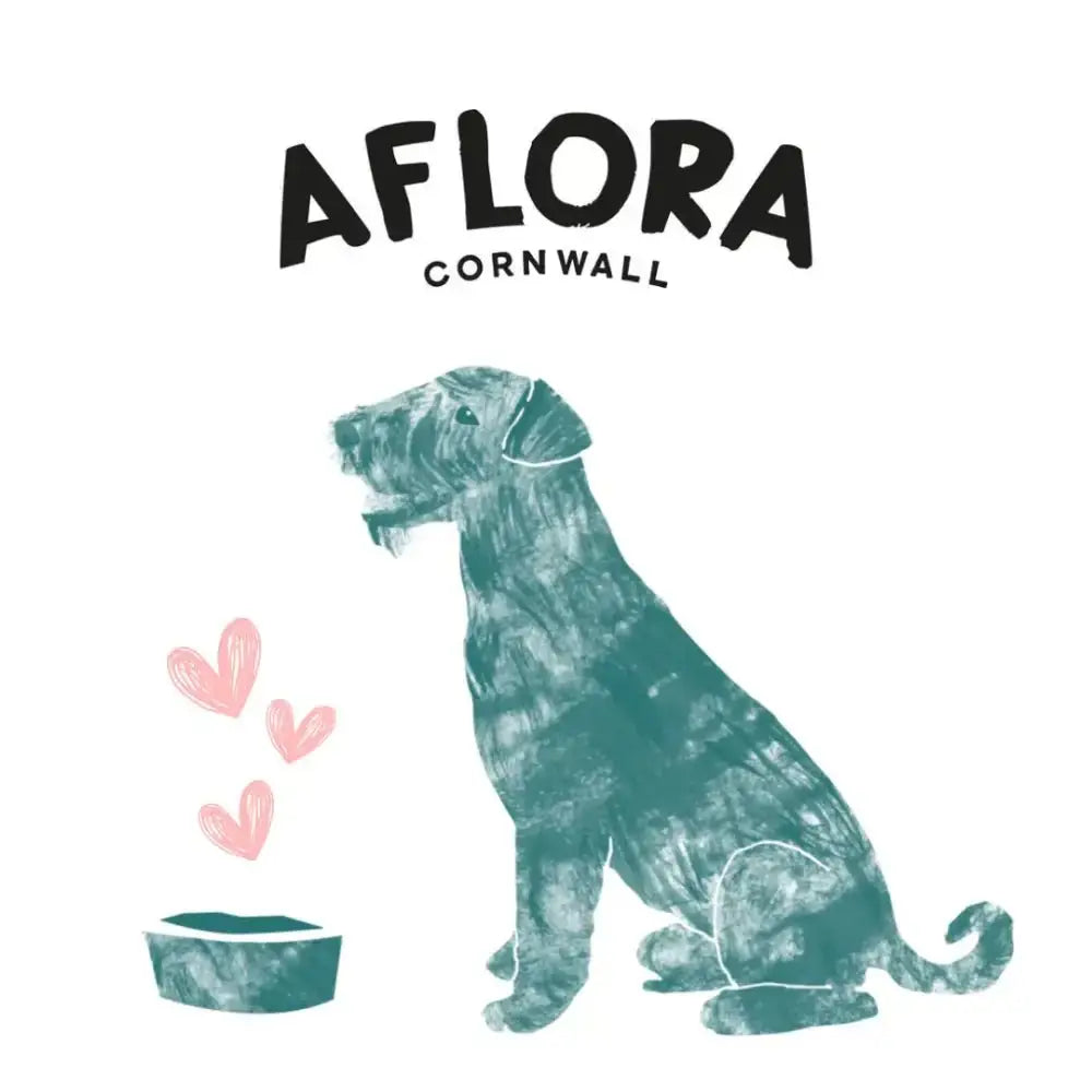 Teal dog water bowl with hearts design and Aflora Cornwall logo for grain free balanced meals