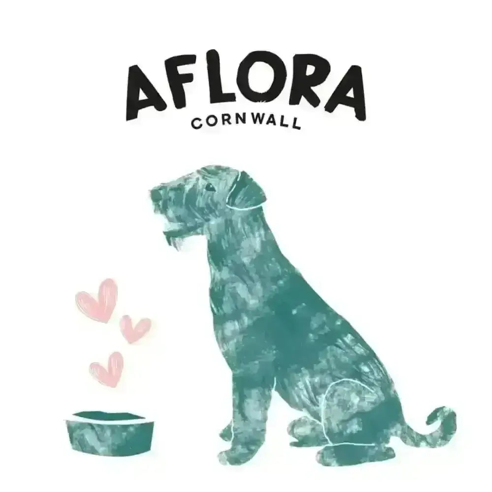 Teal dog water bowl with hearts design and Aflora Cornwall logo for grain free balanced meals