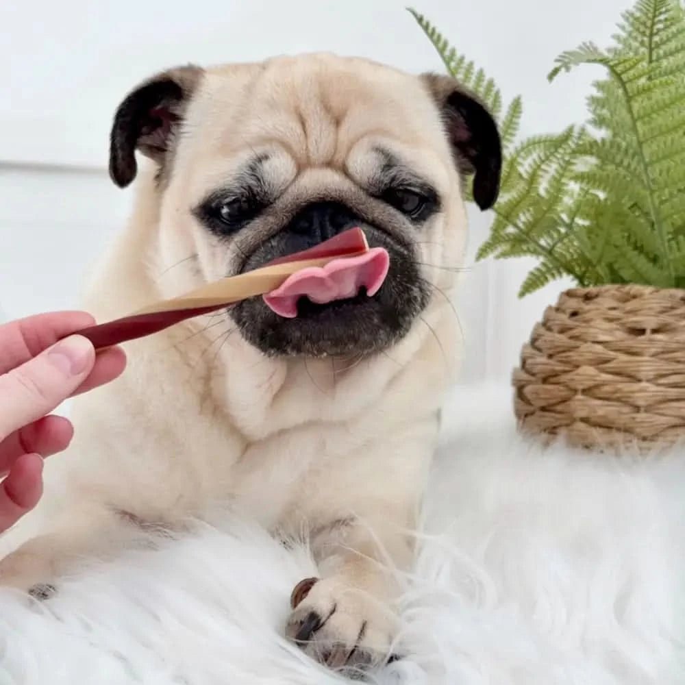 Pink apple fruit dental stick treat shaped like a chewy dumpling on wood