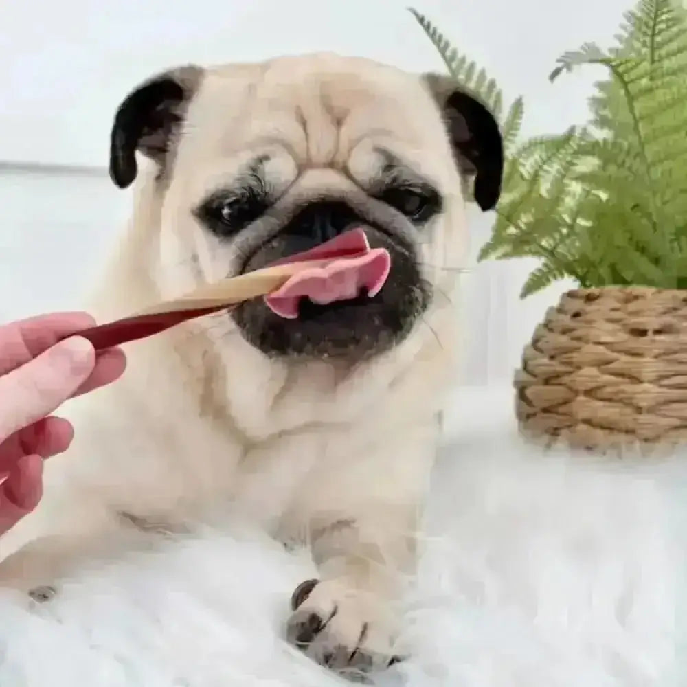 Pink apple fruit dental stick treat shaped like a chewy dumpling on wood