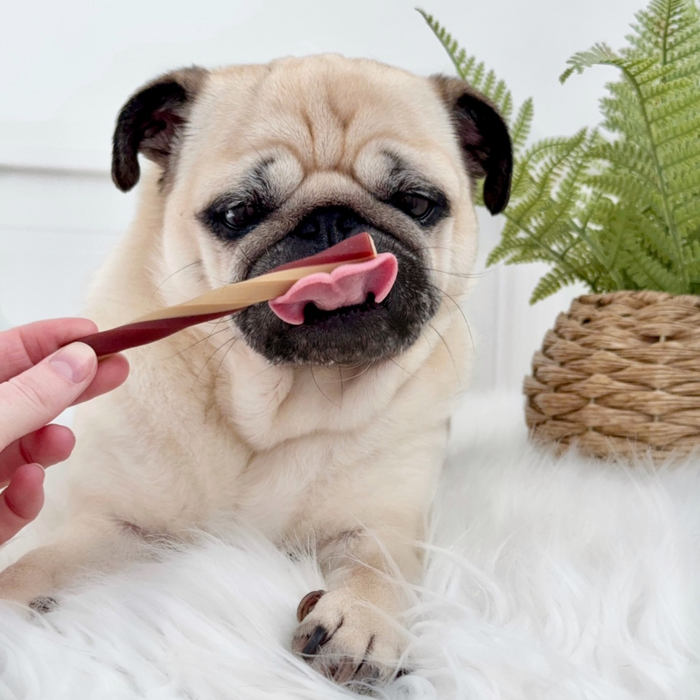 Apple Dental Stick Chew For Dogs | Natural Vegetable Chews for Dogs