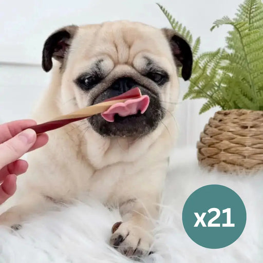 Apple Dental Stick x 21 - Natural Dog Chew